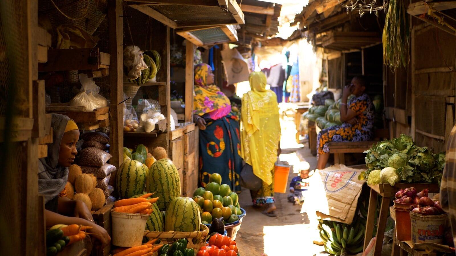 Rooting for Myanmar: The Rewards of Tree Planting